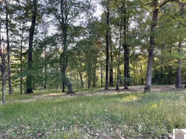 Lots 65 66 Cherokee 65 Sm Tract And #66, Cadiz, KY 42211