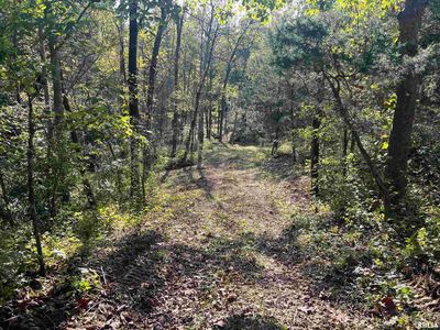 Rr125 East St, Versailles, IL, 62378