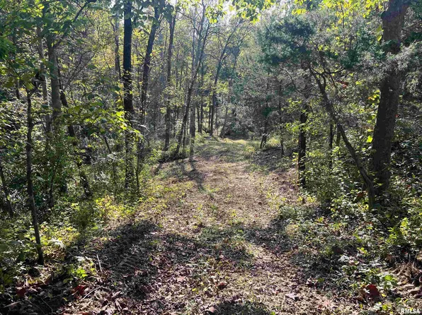 Rr125 East St, Versailles, IL 62378