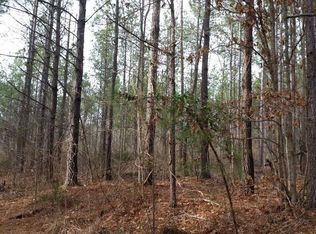 4200 Nc Hwy 22 S, Ramseur, NC 27316