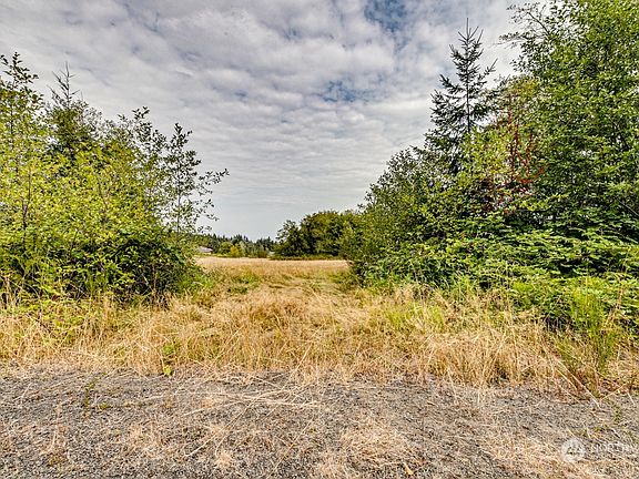 3rd image of 1111 Black Bear Trail