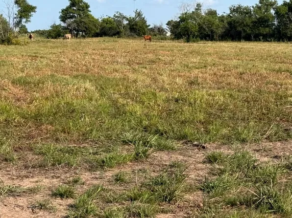 TRACT 1 Kveton Rd, Cat Spring, TX 78933