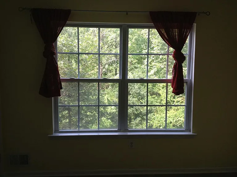Kitchen Window - Wooded view