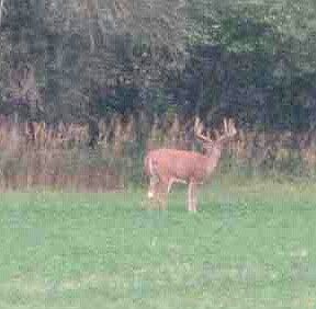 2nd image of 2915 N Blacks Corners Rd
