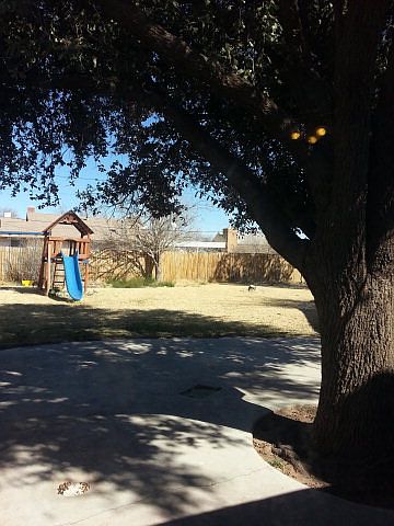2nd image of 524 S Alamo St