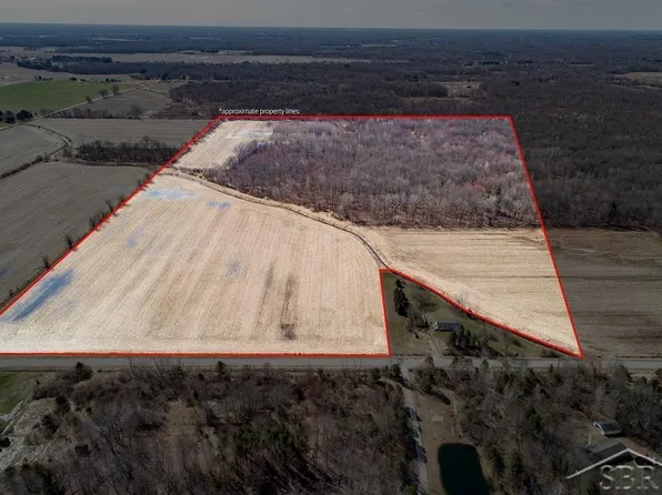 Grabowski Rd, Saint Charles, MI 48655