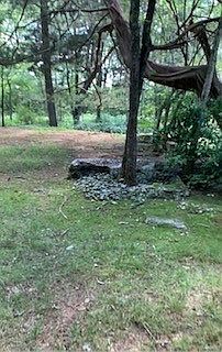 1st image of 163 Thompson Ln