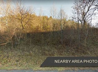 Rules Run Rd, Clyde, NC 28721