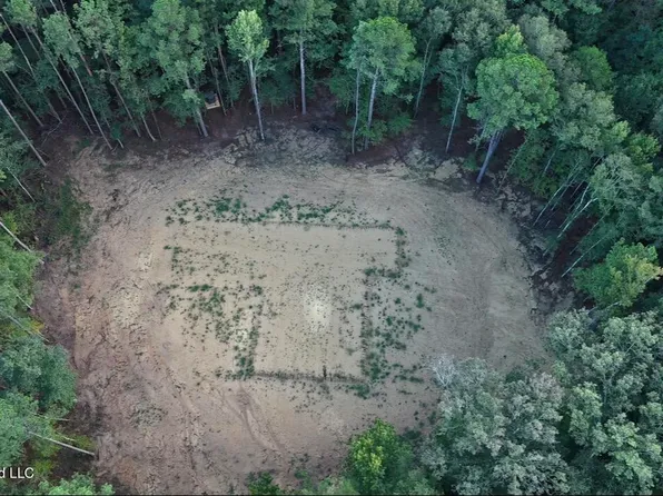 Lone Pine Church Rd Lot 3, Lena, MS 39094