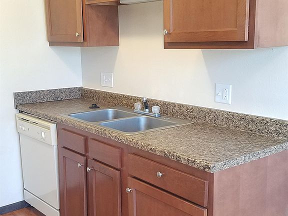 Kitchen cabinets and dishwasher