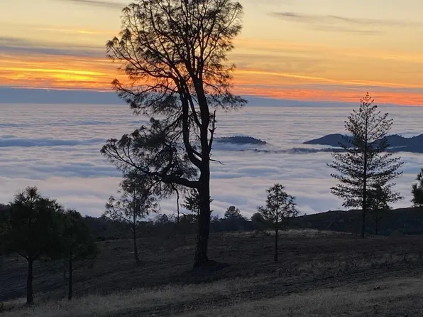 6108 Greeley Hill Rd, Coulterville, CA 95311