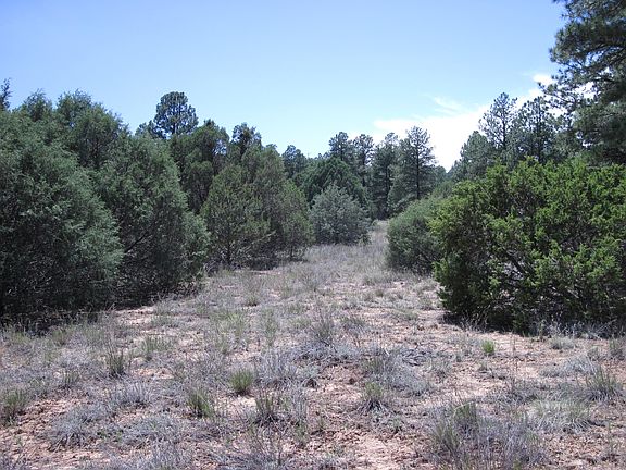 5th image of 16 Camino Circular