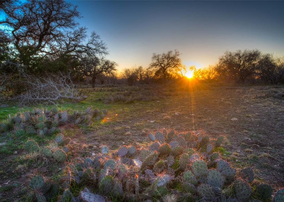 2998 County Road 220, Eldorado, TX 76936 MLS 7599293 Zillow