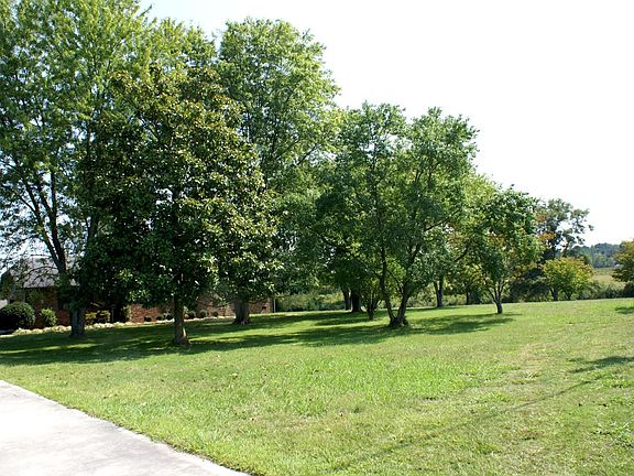 Huge Shaded Lawn