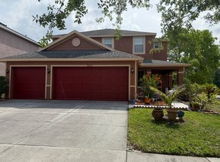 20611 Whitebud Ct, Tampa, FL 33647