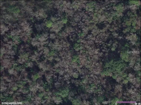Sweetwater Trl, Kissimmee, FL 34747