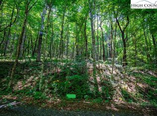 37 Marta Ln, Zionville, NC 28698