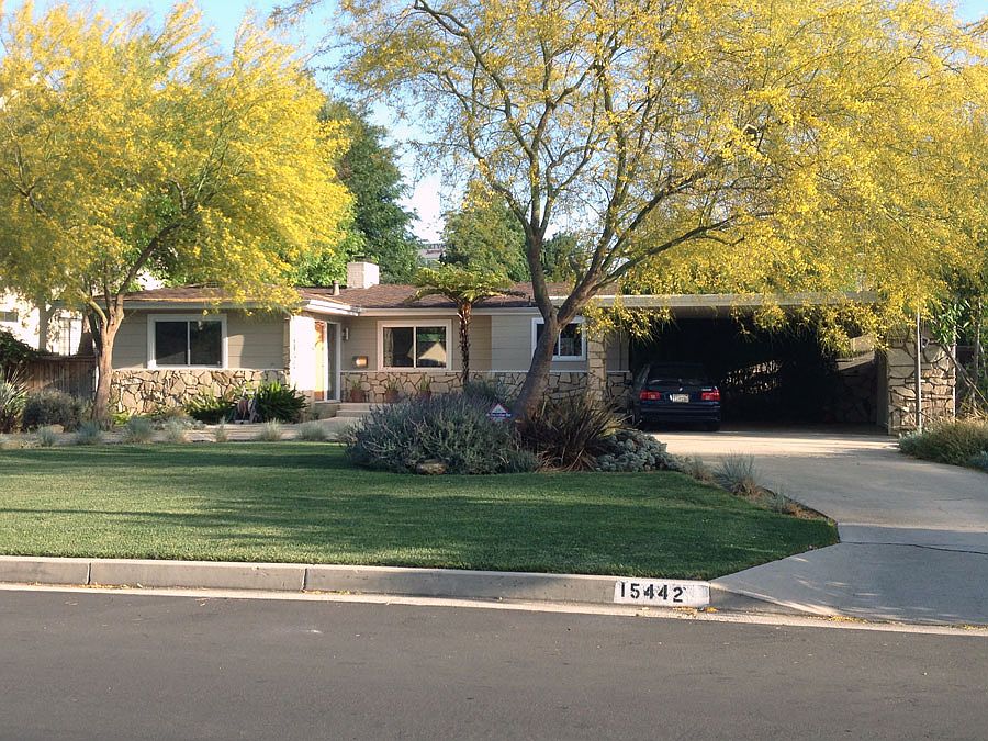 lush desert landscaping