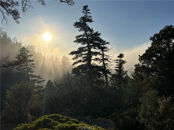 0 Ironwood Ln, Angelus Oaks, CA 92305