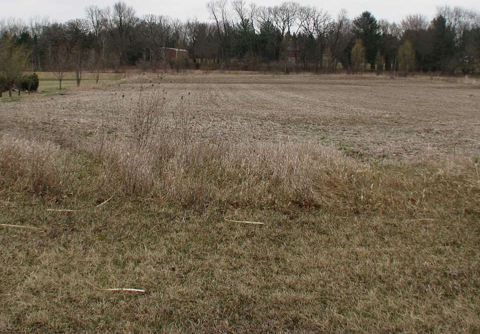 1st image of 9855 Little Lucy Ln