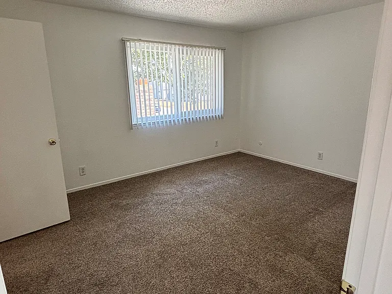 4100 Gaddi Dr #3 — Photo 11