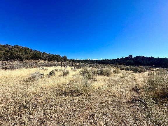 5th image of Tbd Cactus Park Rd