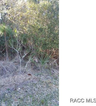 2nd image of 4890 N Rainbriar Path