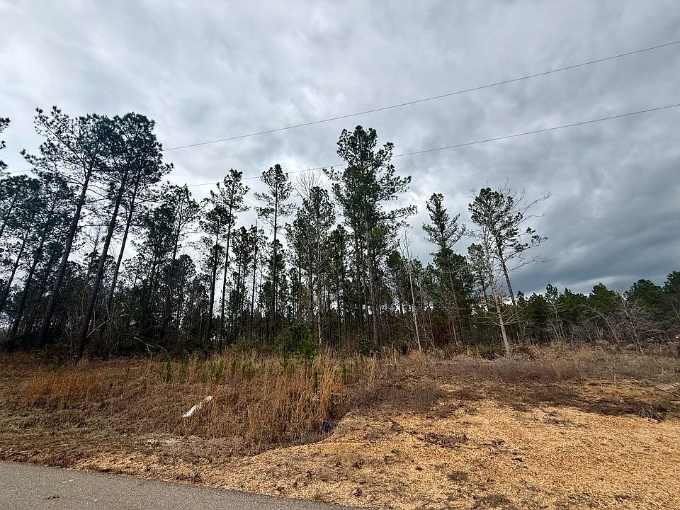 2nd image of 49 Stuart Rd