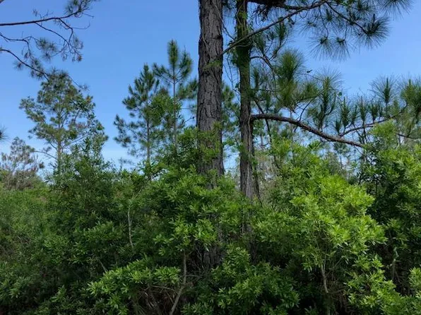 5 Seriema Ct, Palm Coast, FL 32164