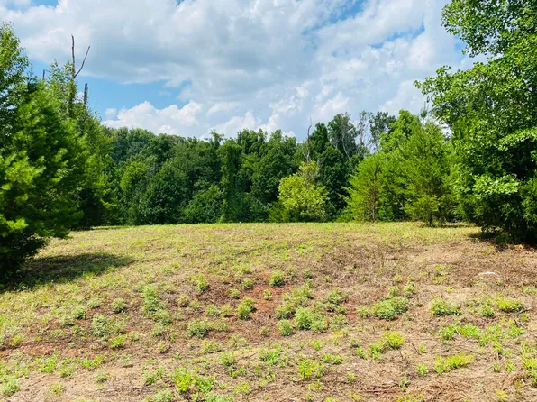 Powder Mill Dr, Tellico Plains, TN 37385