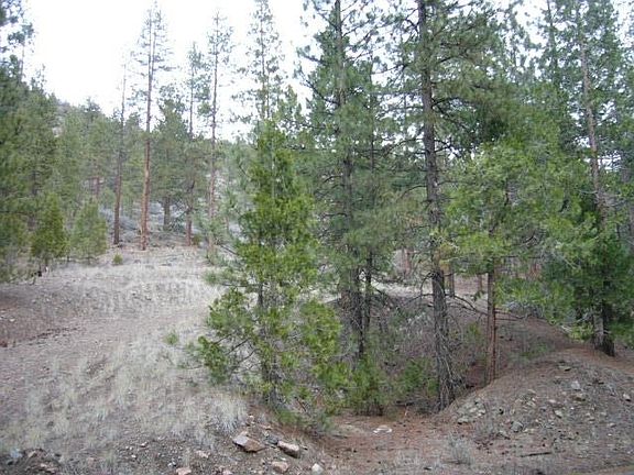 4th image of E Moffett Ck Rd