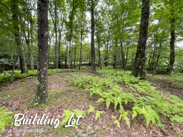 Skyline Dr, Canadensis, PA 18325