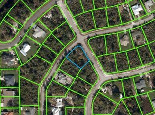 234 Thurman Ave, Lake Placid, FL 33852