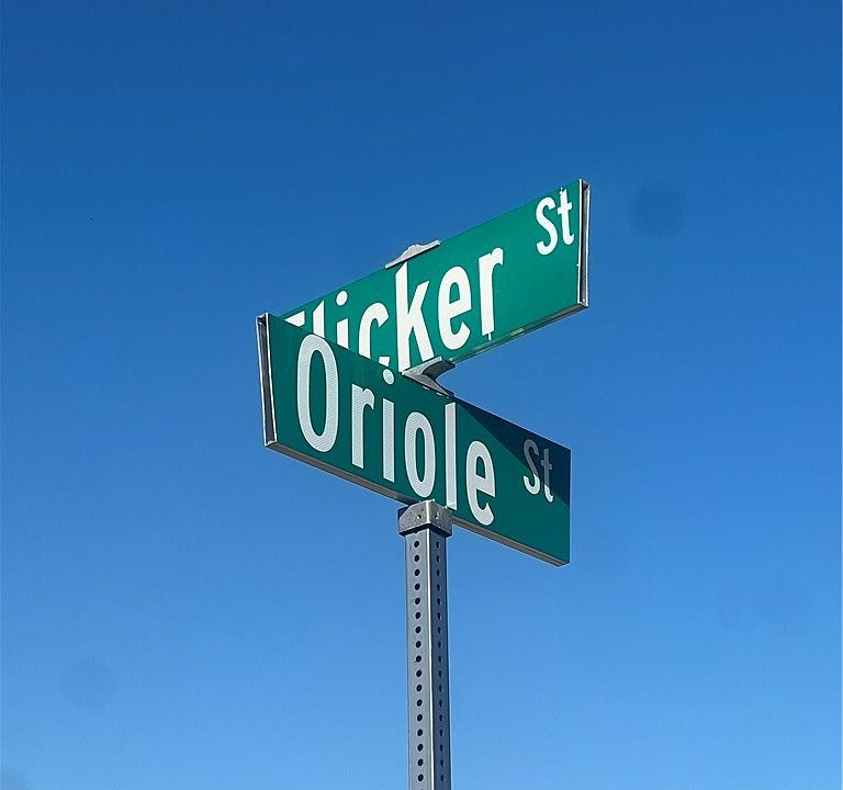 1st image of 28138 Oriole St Lot 13