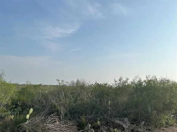 Abst 2156 Sur #578, Laredo, TX 78043