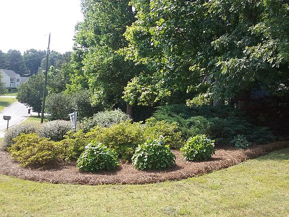 Professional landscaping