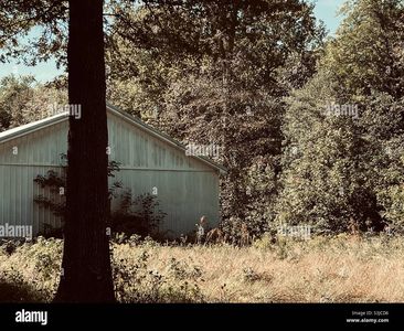 Vl E Vienna Rd NE, Otisville, MI, 48463
