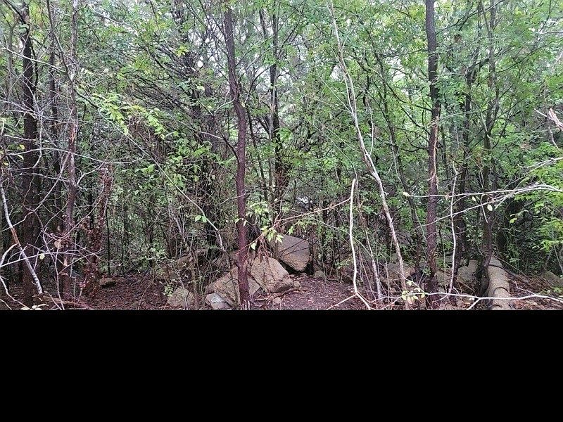 2nd image of 0 E Denton St