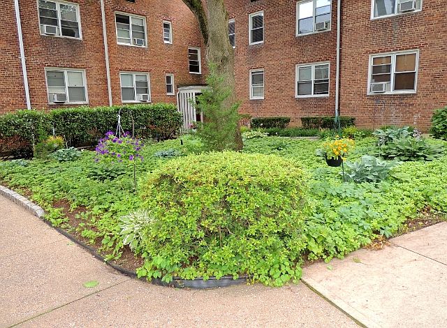 1st image of 5 Edwards St APT 2E