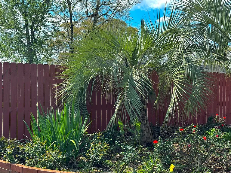 423 Lake Worth Dr — Photo 10