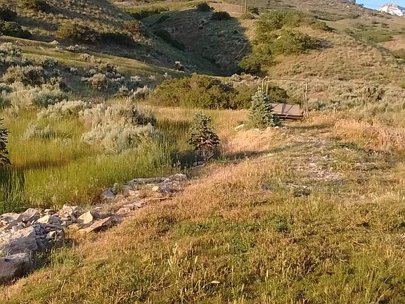 Foothills in Backyard