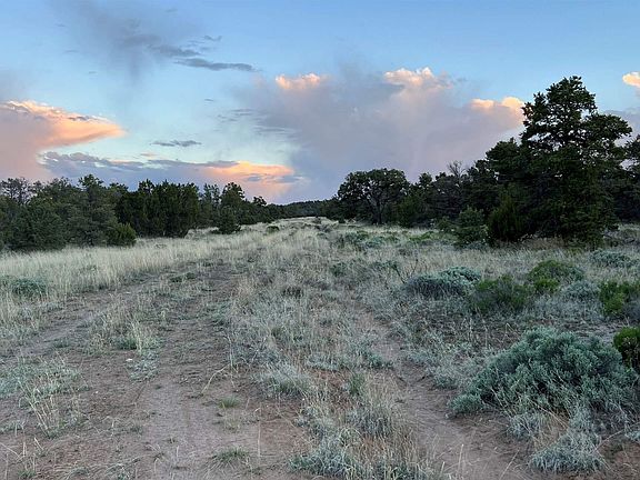 4th image of Forked Horn Ln