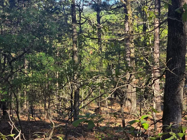 175 SW Sherman Rd, Antlers, OK 74523