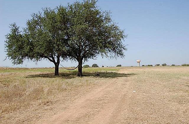 1st image of 1392 Lipan Hwy