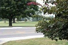 4th image of 1121 Mesker Park Dr