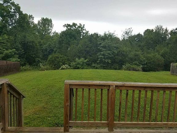 Back yard
