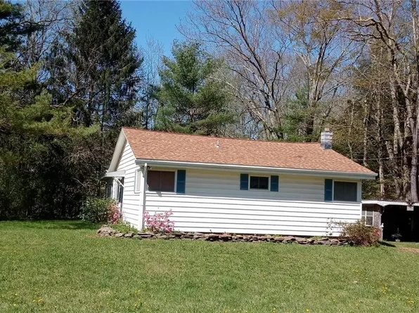 101 Vandeusen Rd, Davenport, NY 13750