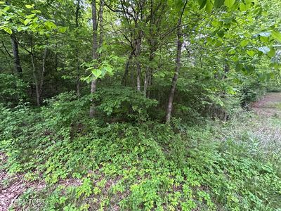 Hensley Rd, Jamestown, TN, 38556