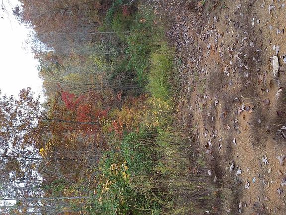 5th image of Old Harriman Hwy
