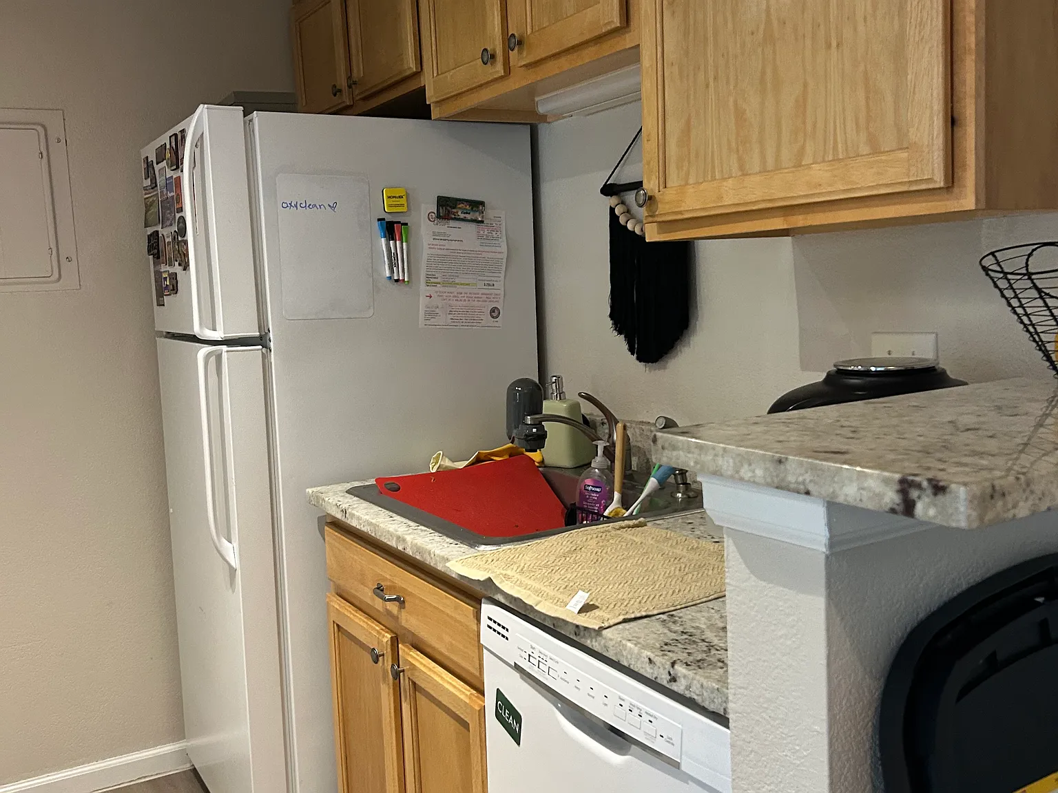 2 bed, 981 sqft, $1,750 — Photo 4